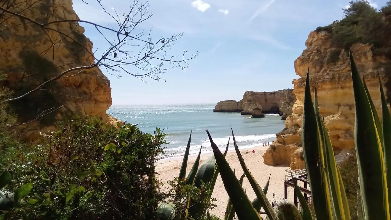 Albufeira Beach Apartment 0*,  Portugal